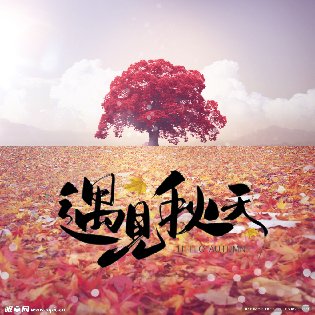 秋天海报