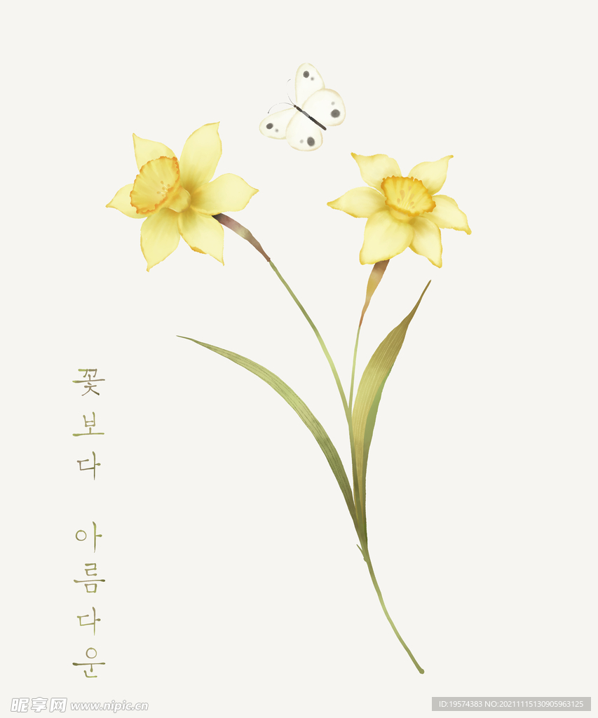 花朵手绘水仙花水粉水彩