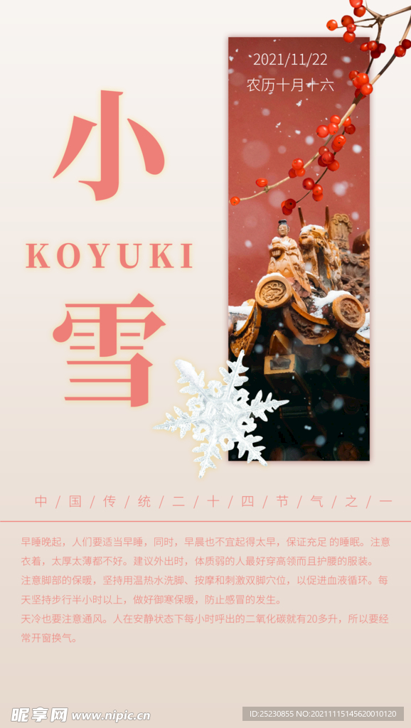 二十四节气小雪海报