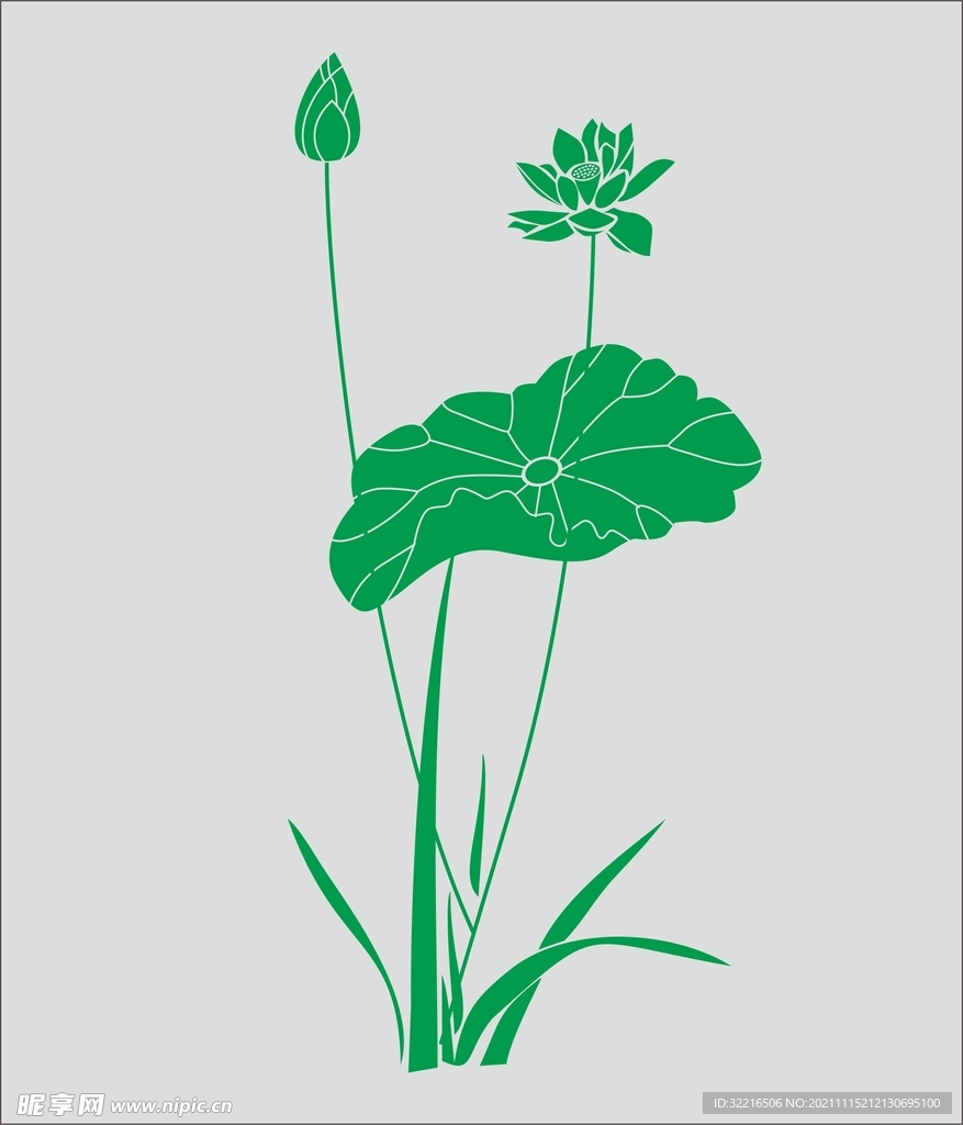 荷花
