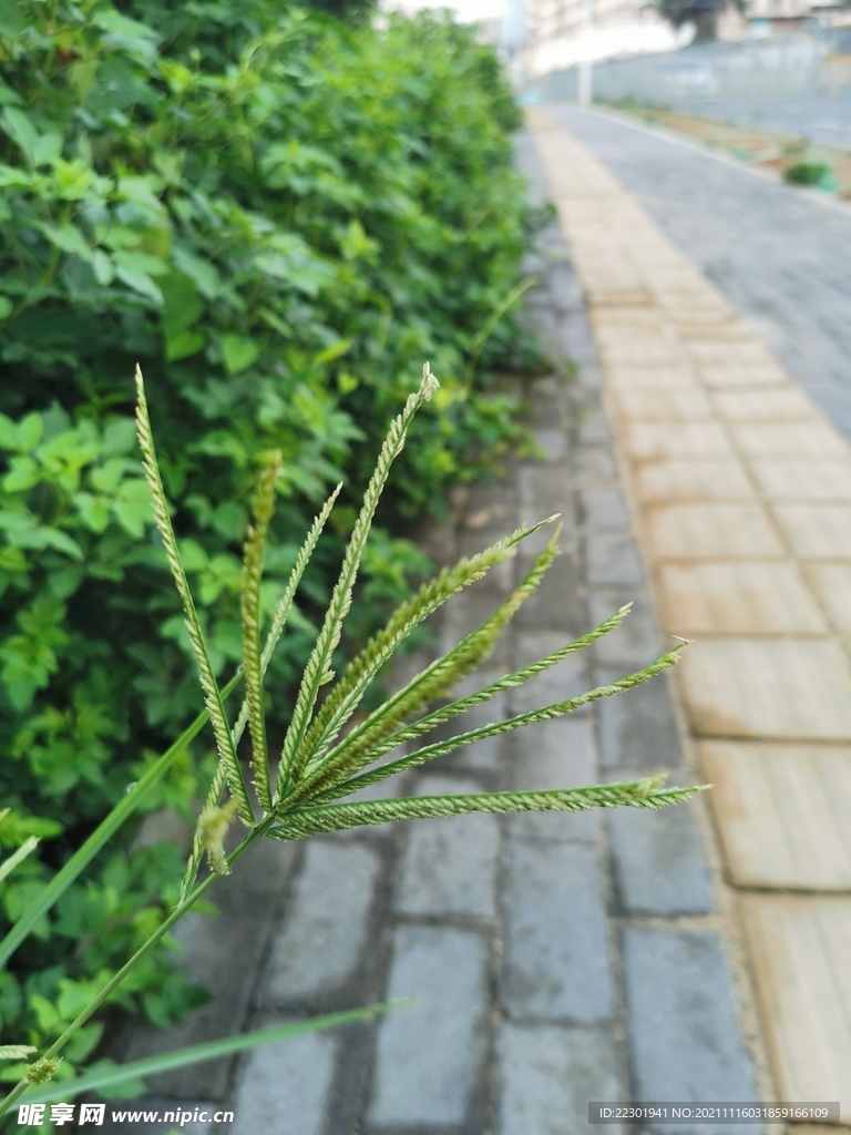 路边