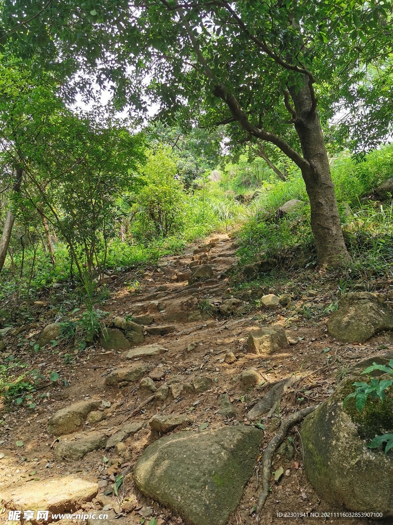 爬山