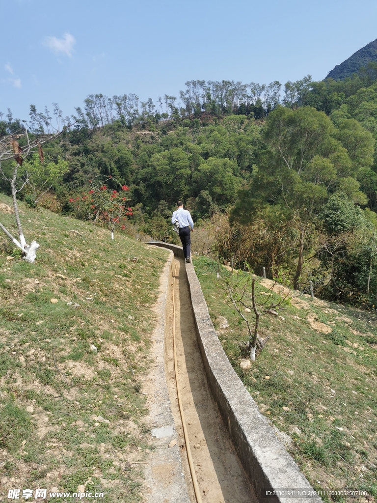 田间小路 