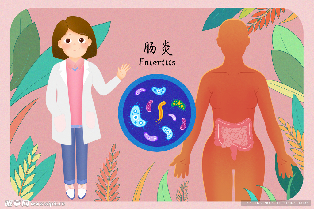 预防肠炎讲座