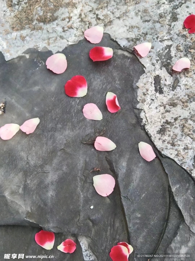 花瓣