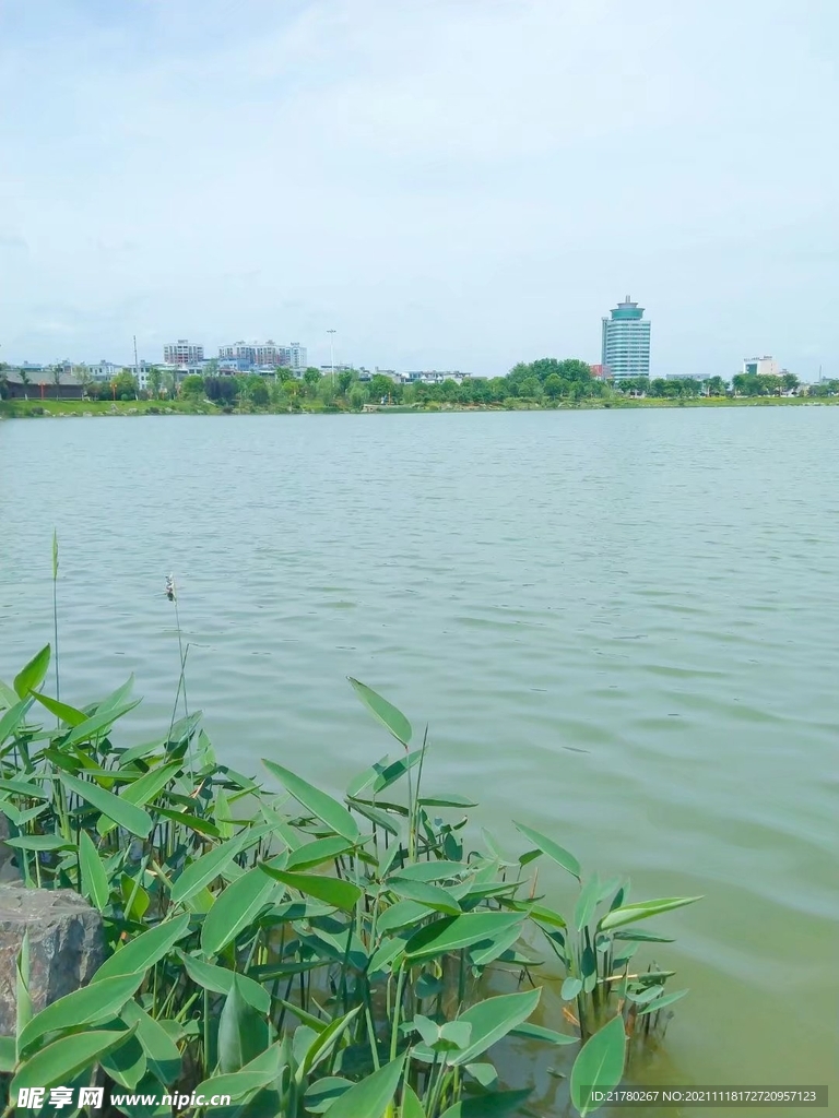 湖畔
