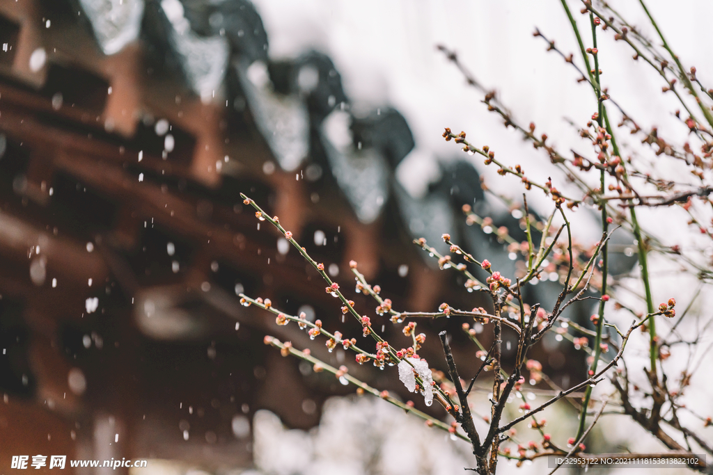 中式古典园林中的雪景