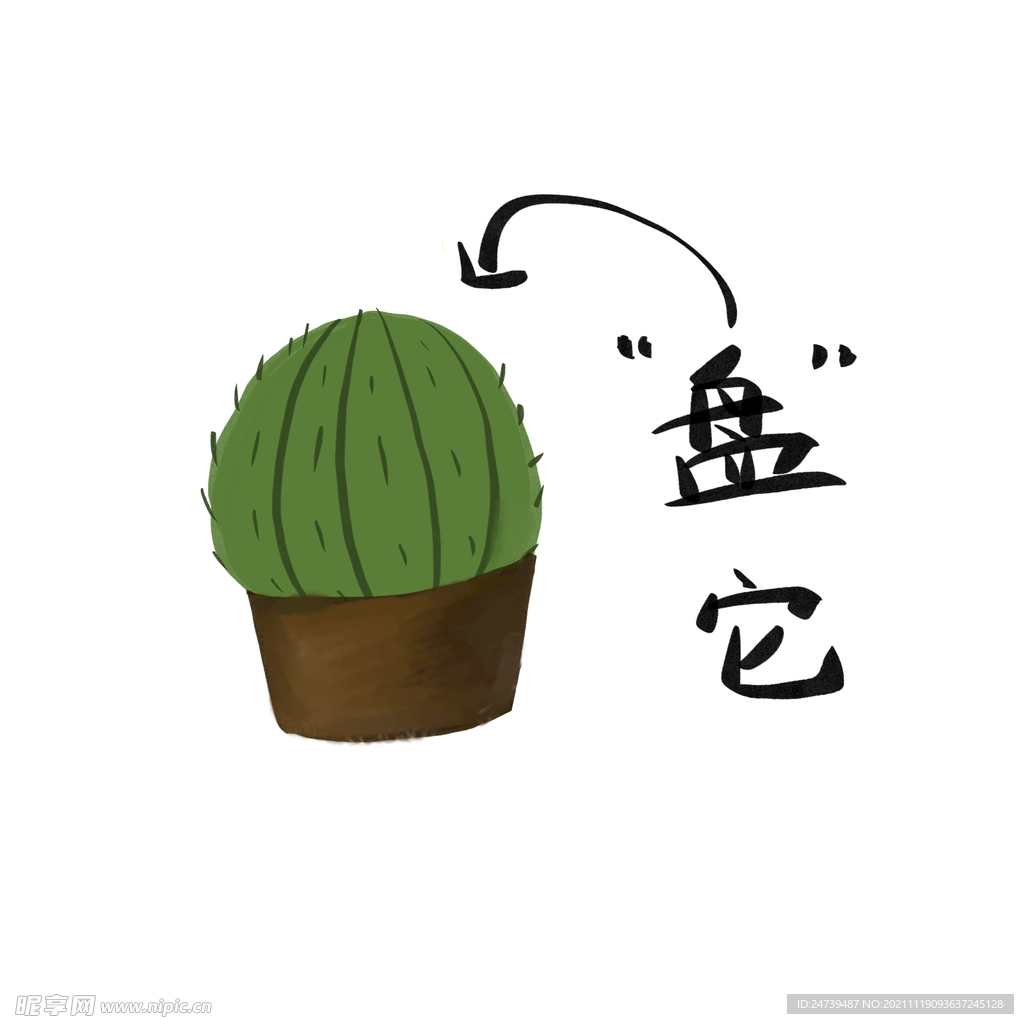 仙人掌