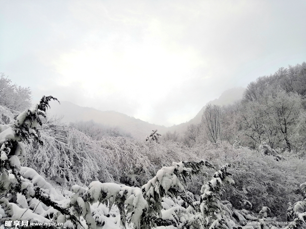 雪景