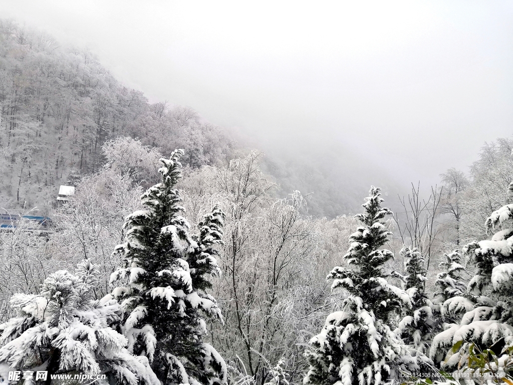 雪景