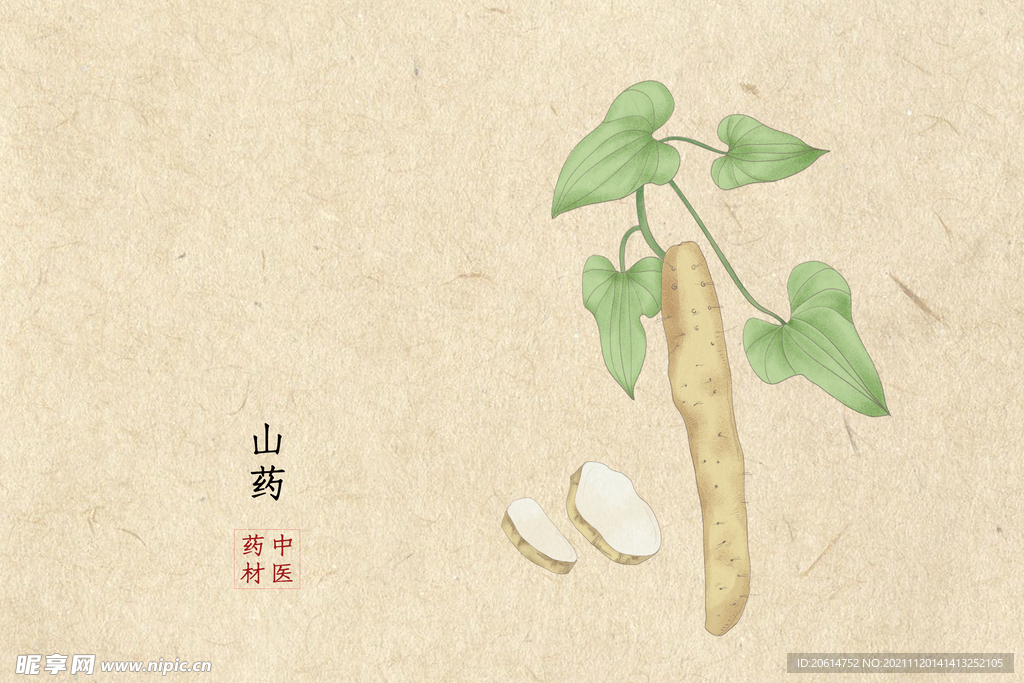 转药材山药