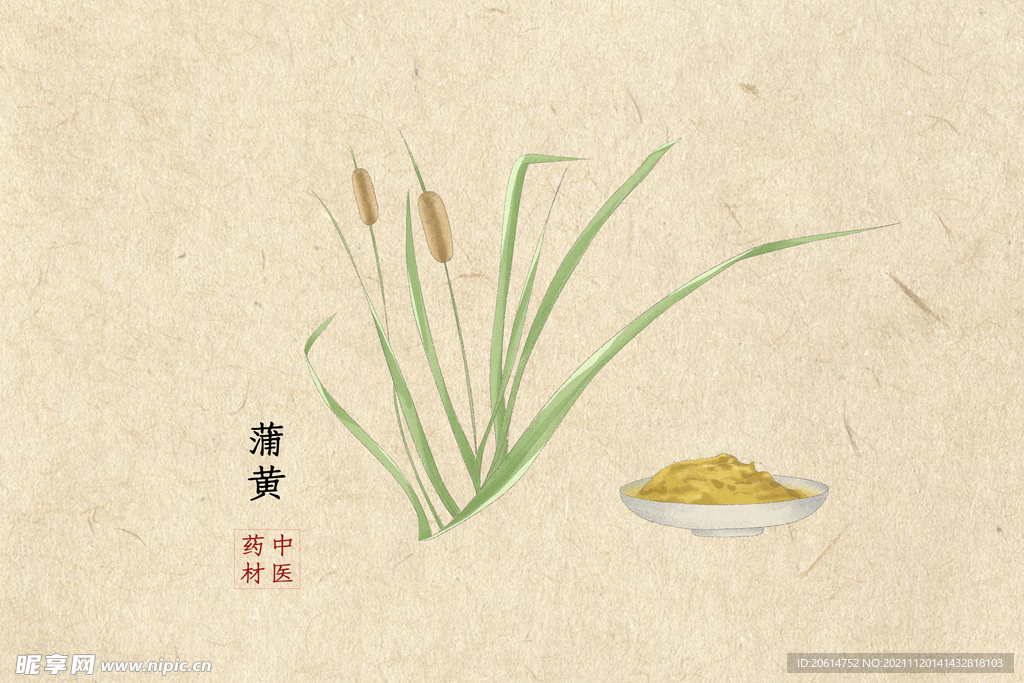 转药材蒲黄