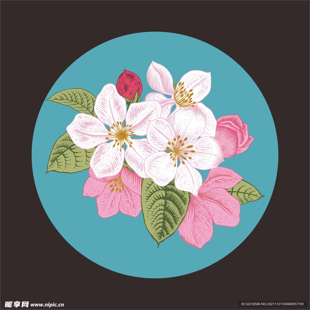 花朵插画