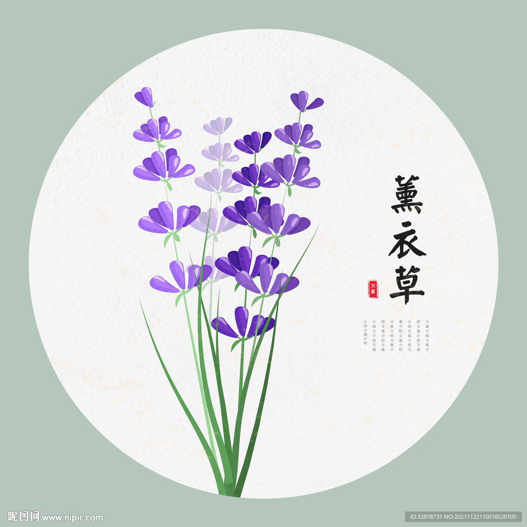 薰衣草手绘