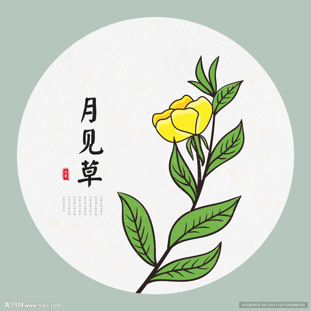 手绘月见草