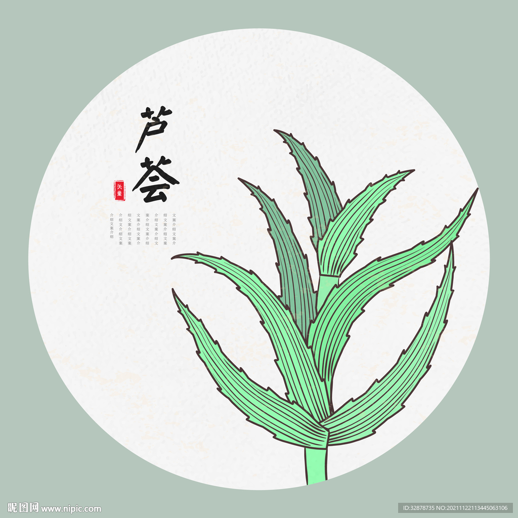 芦荟手绘