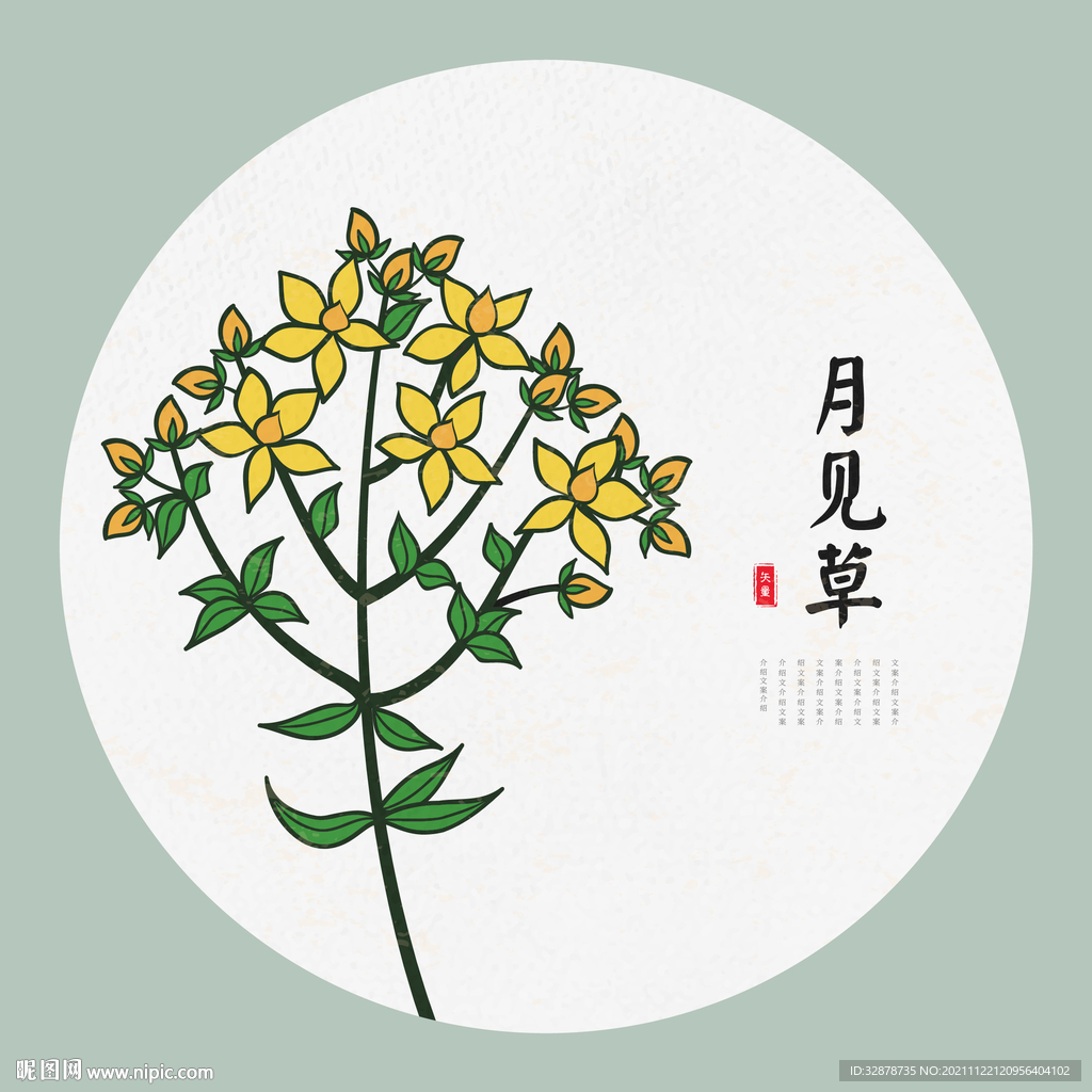 月见草手绘