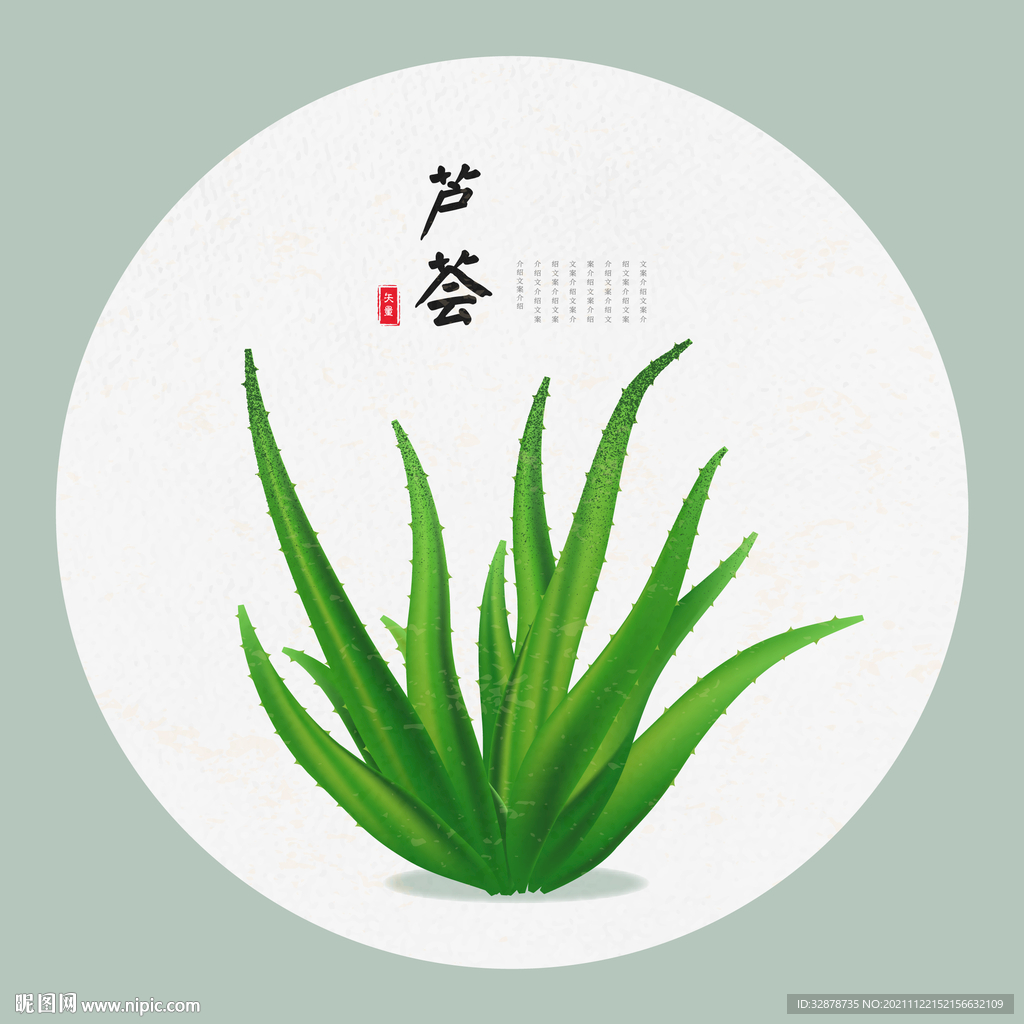 芦荟手绘