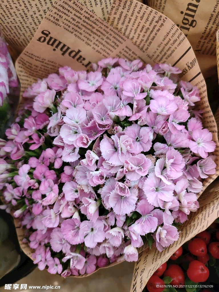 紫色蝴蝶花 秀球花 花团 花束