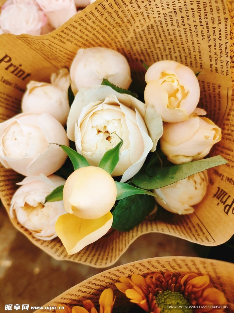 玫瑰花  白色 花束 花朵