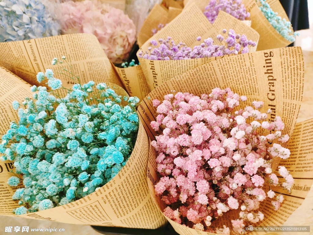 满天星 粉色 蓝色 花朵 花束