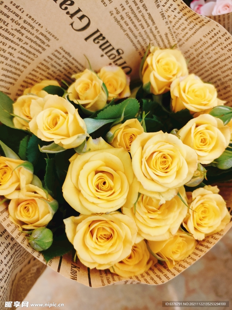 黄玫瑰 花朵 花束
