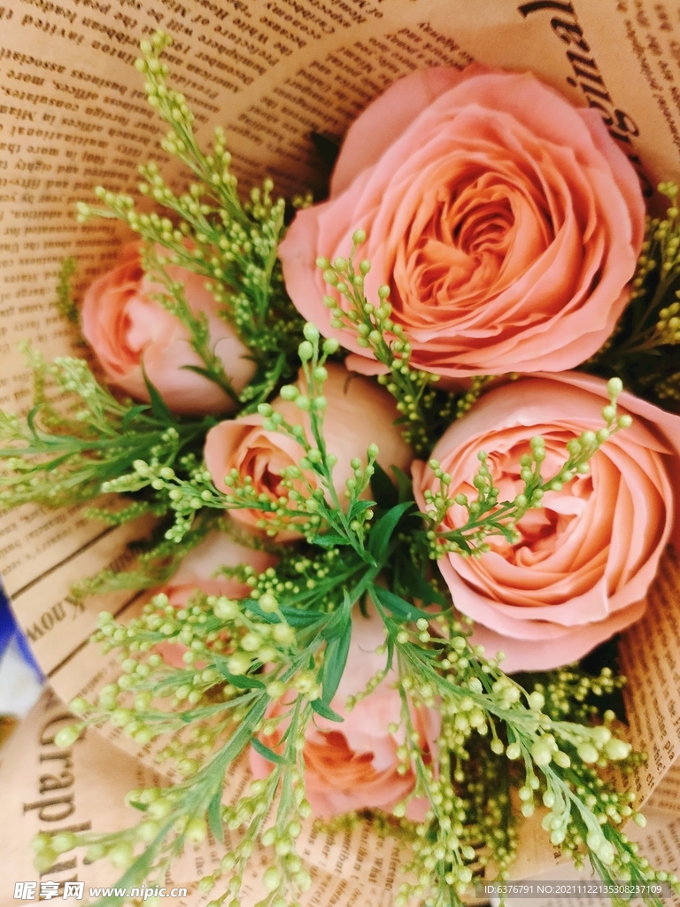 粉色玫瑰 花朵 绿叶 花束