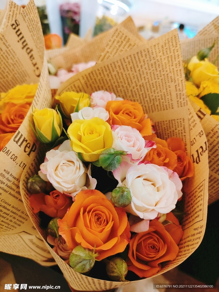 玫瑰花 红色 黄色 白色 粉色