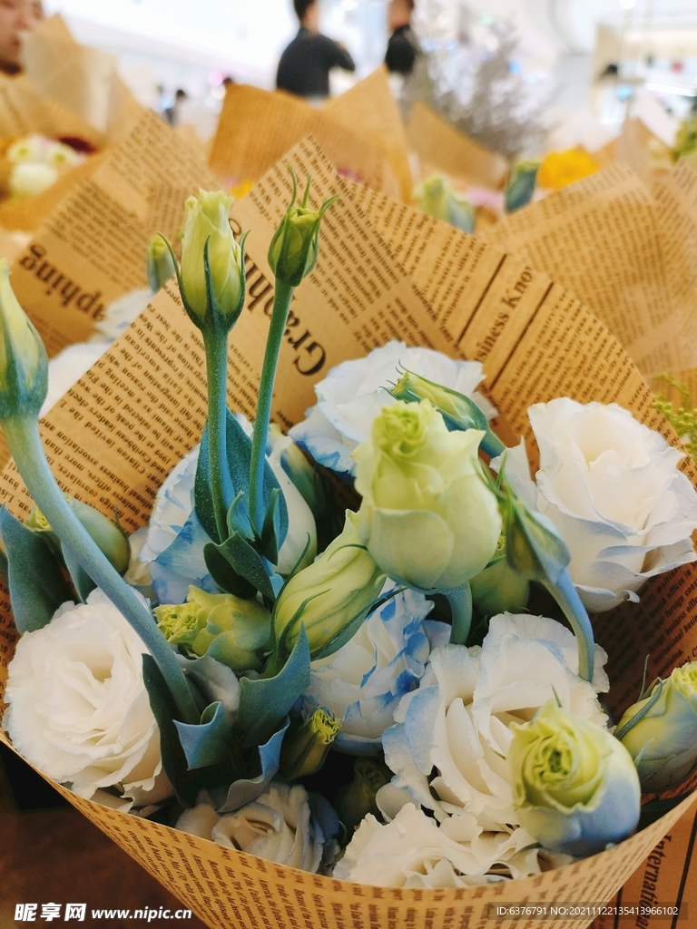 玫瑰花 蓝色妖姬 蓝白相间 花