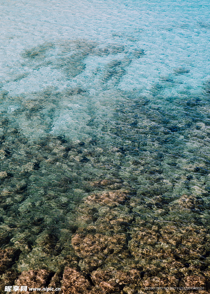 浅海海底风景