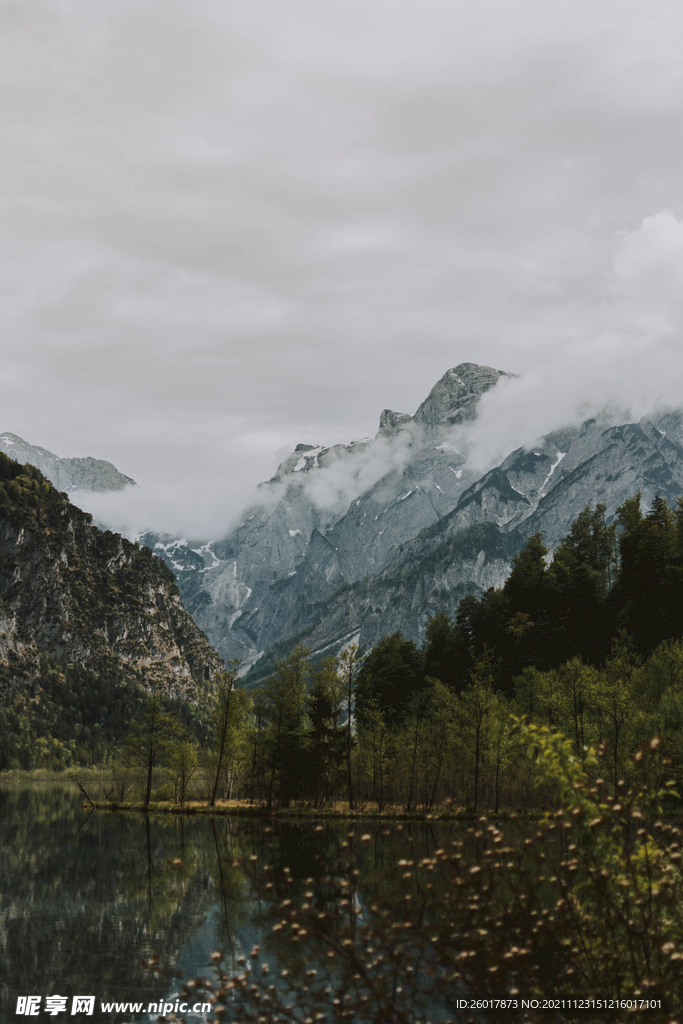 风景