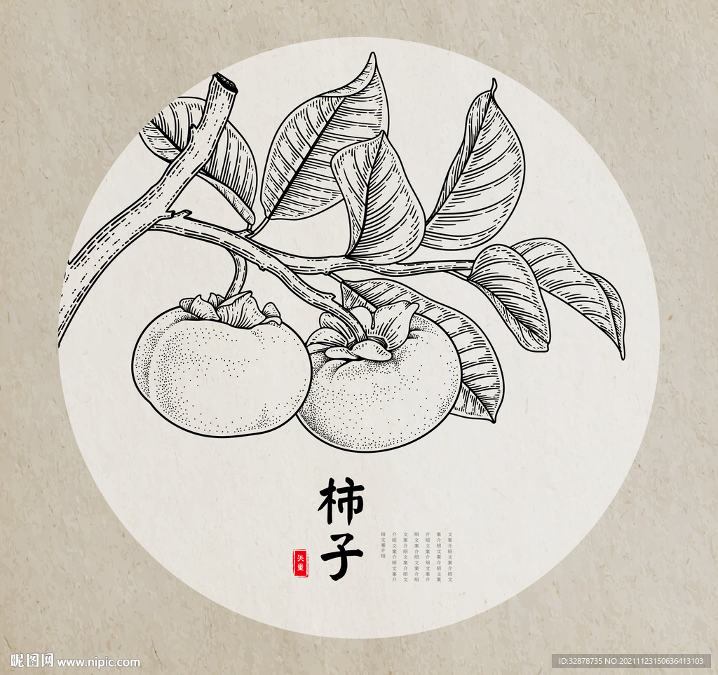 柿子手绘素描线稿