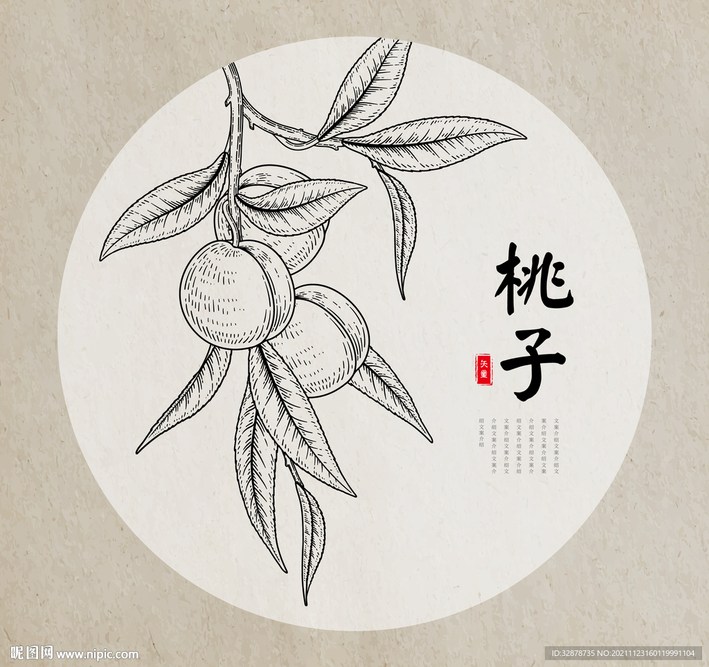 桃子手绘素描线稿