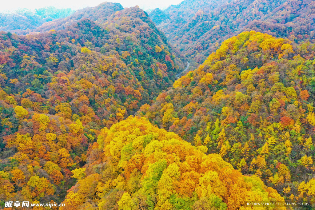 光雾山 秋色