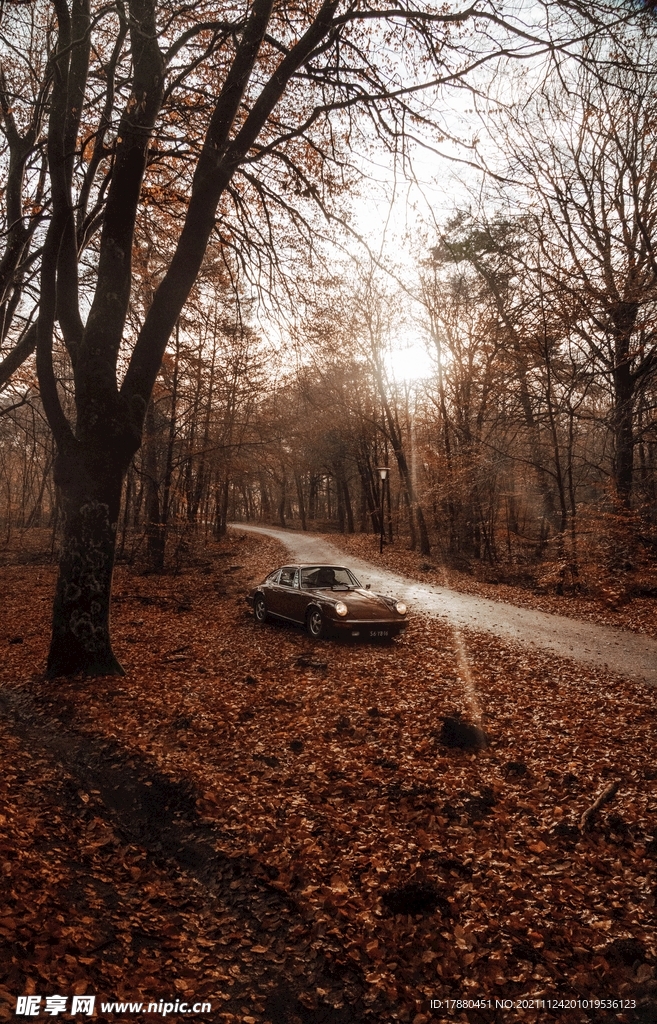 汽车