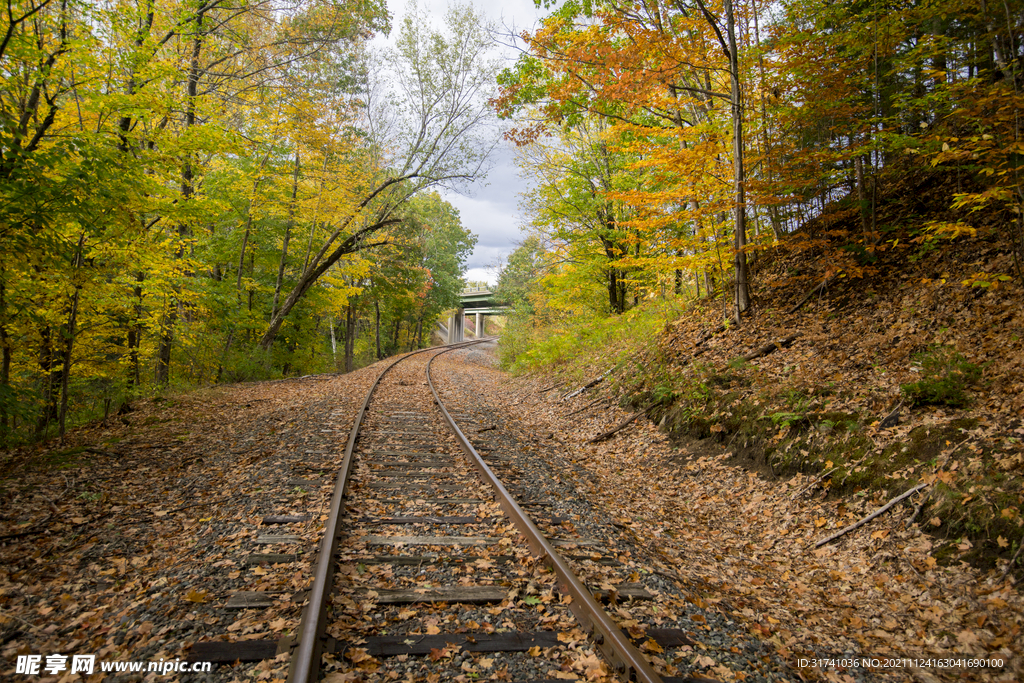 林间铁轨