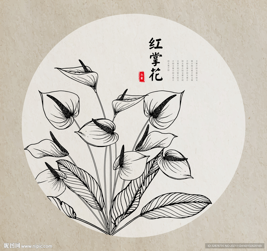 红掌花手绘素描