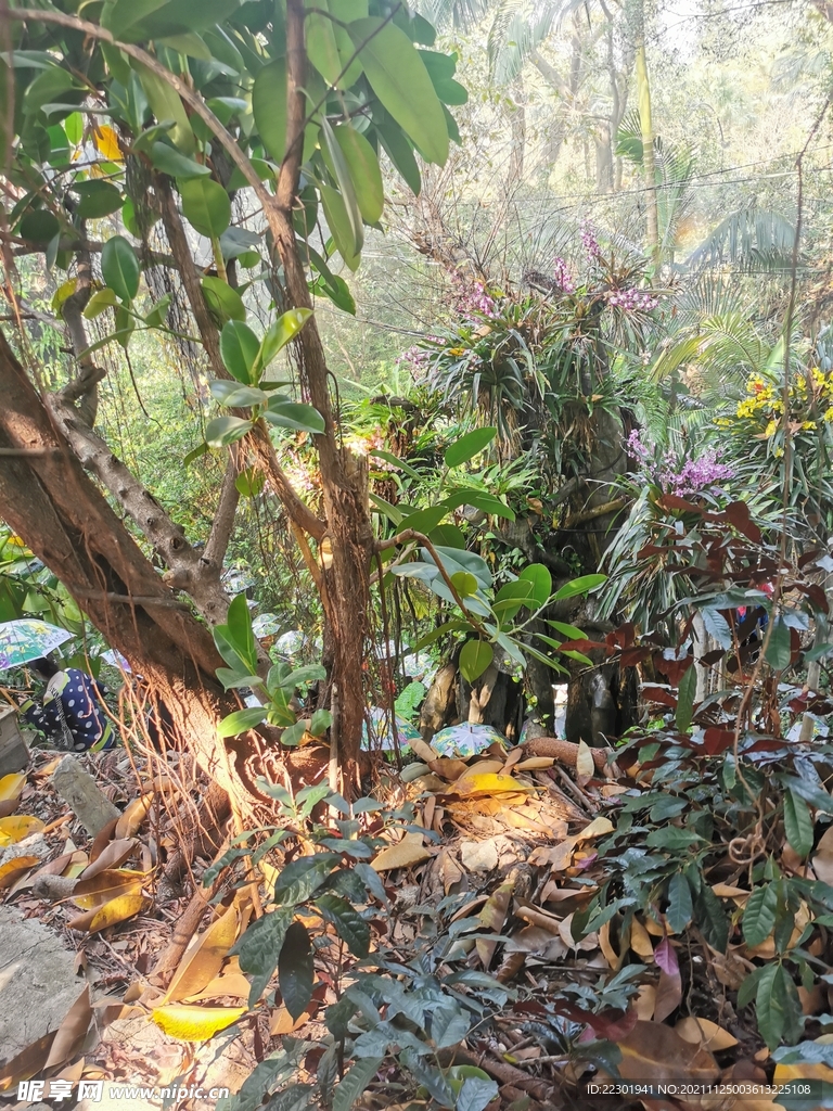 爬山