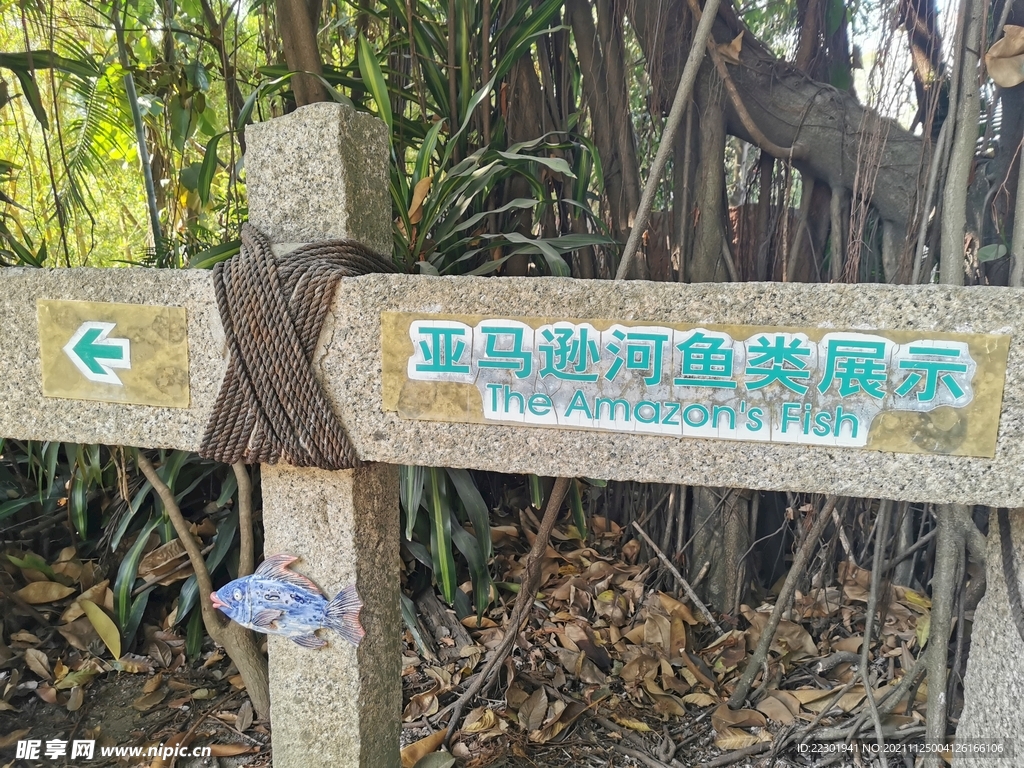 爬山
