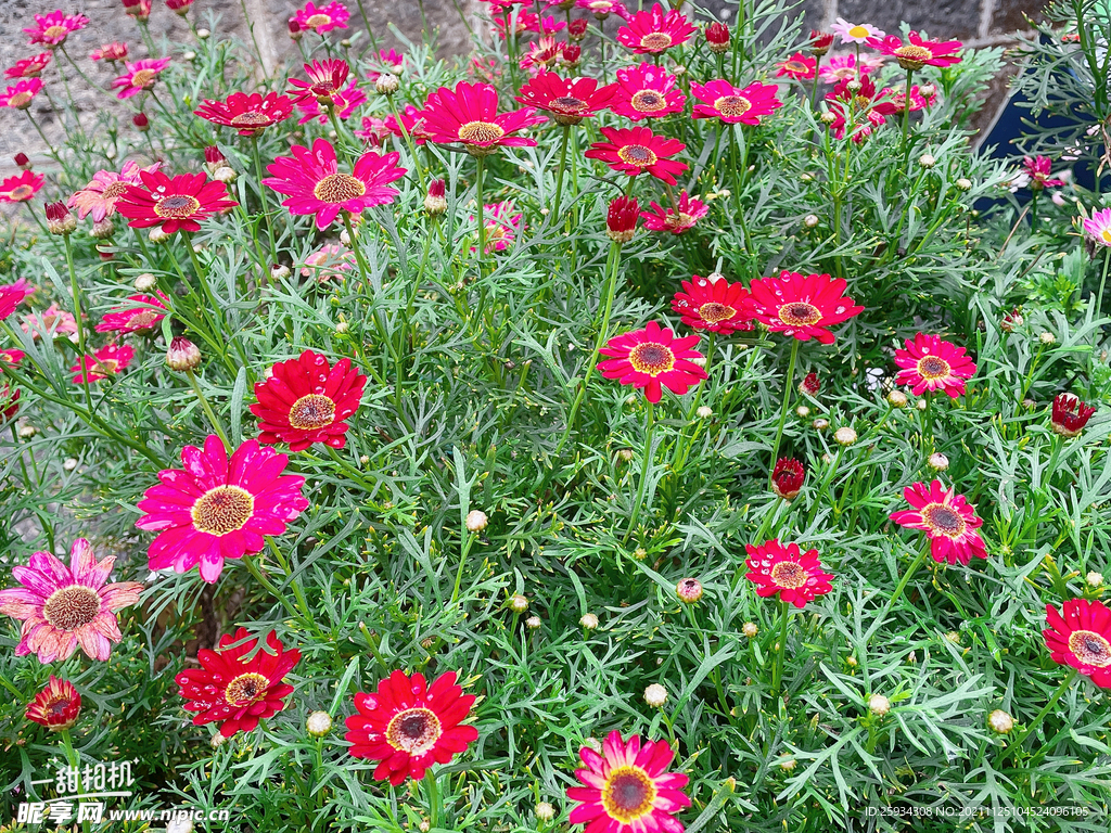 花