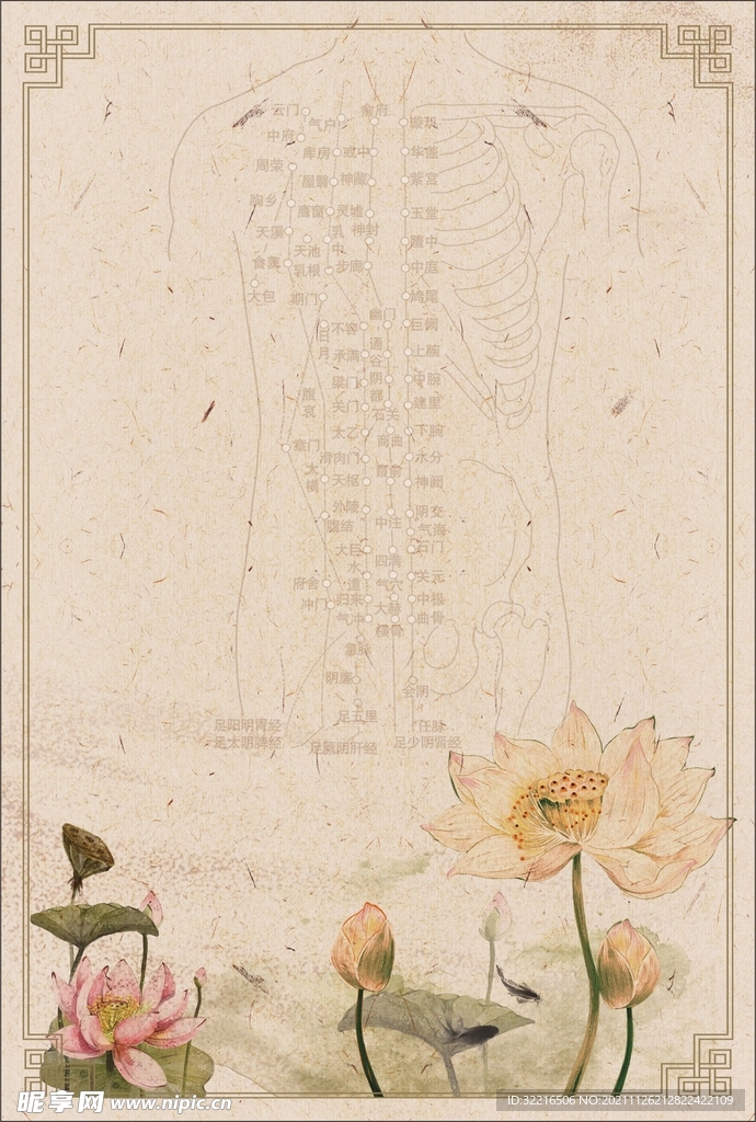 荷花古风海报