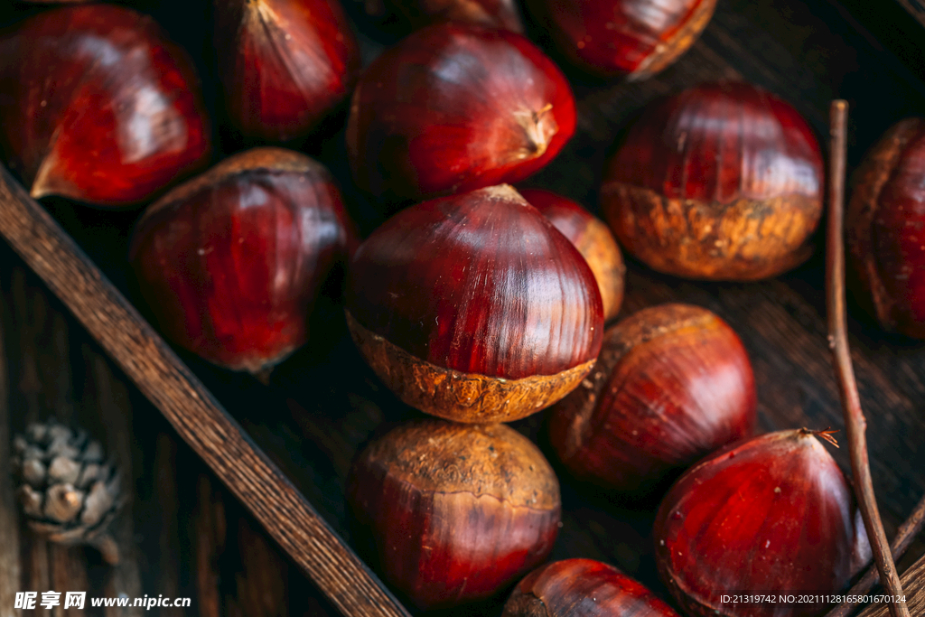 板栗高清摄影图