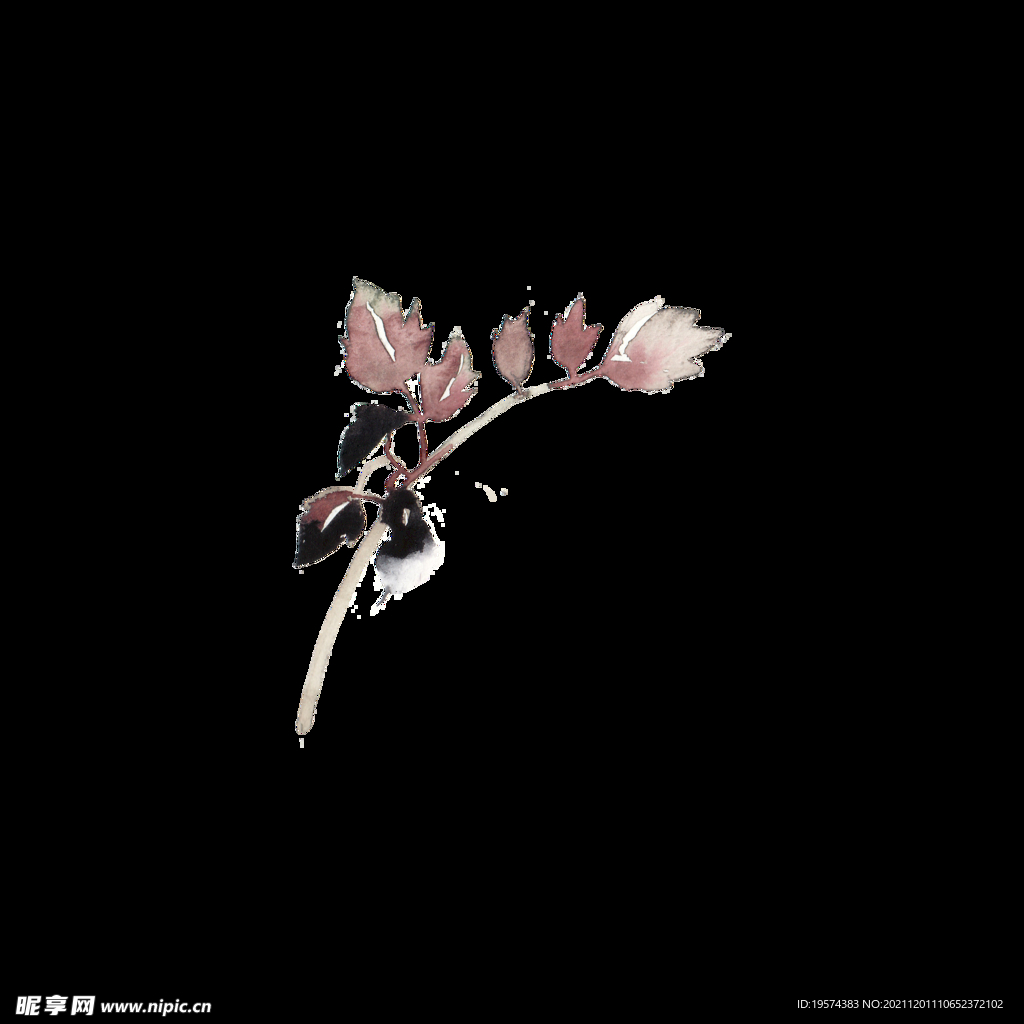 花叶子