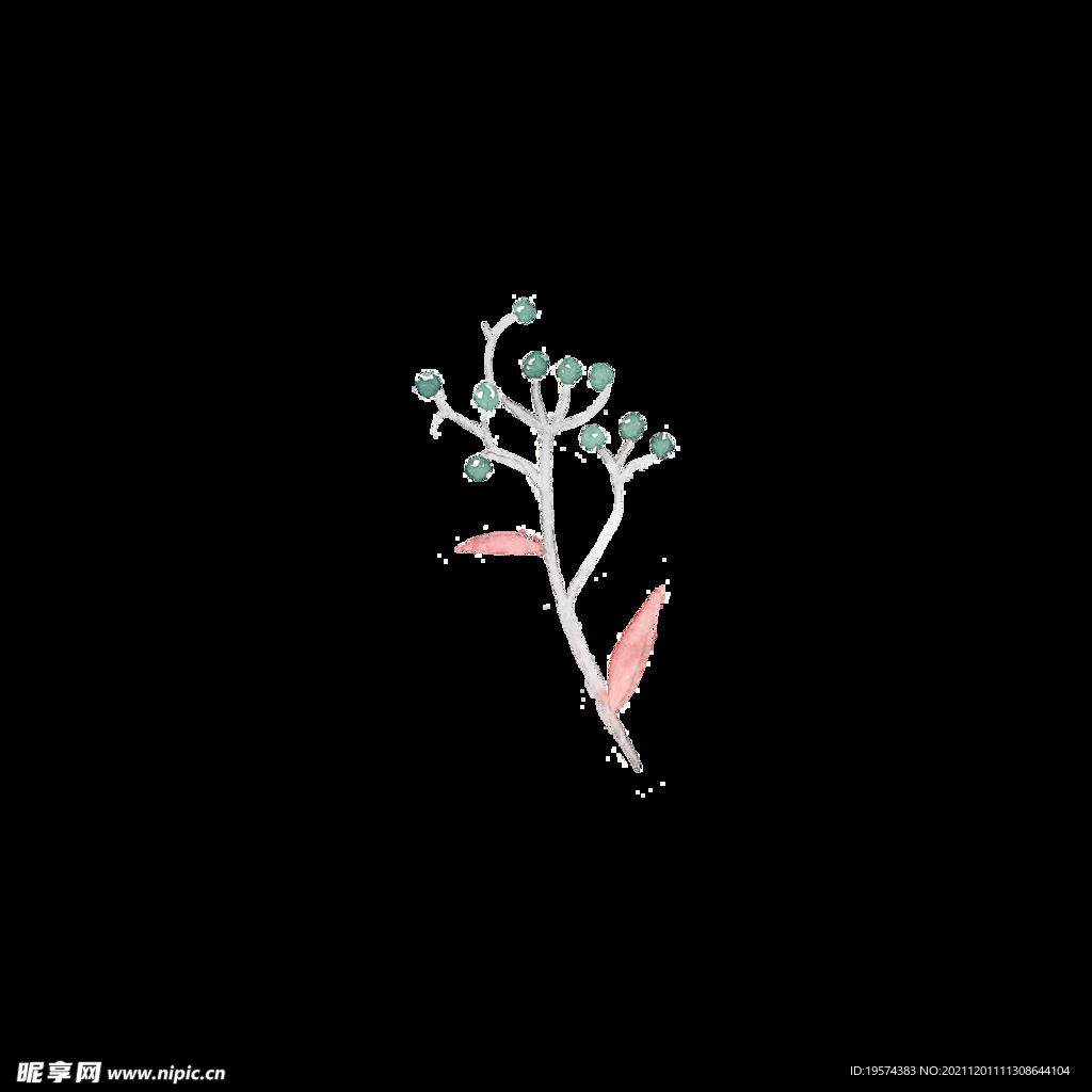 树叶花苞骨朵果实树枝