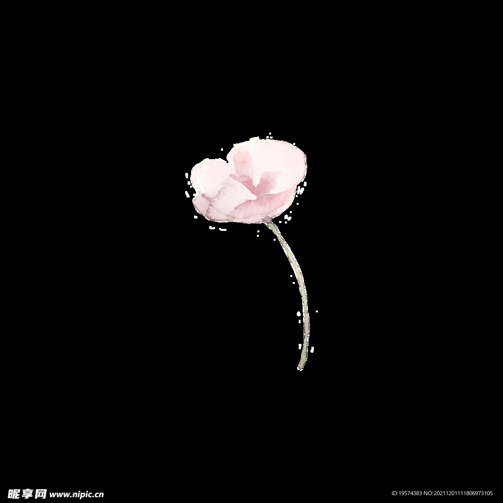 手绘花朵