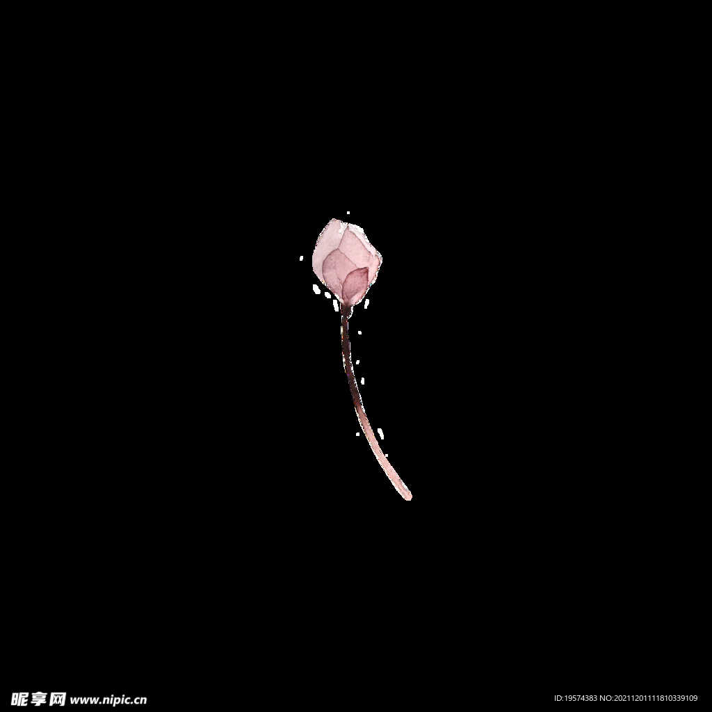 手绘花朵