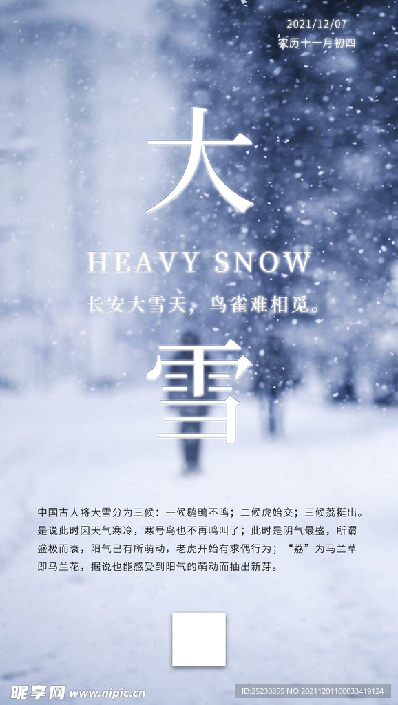 二十四节气大雪海报