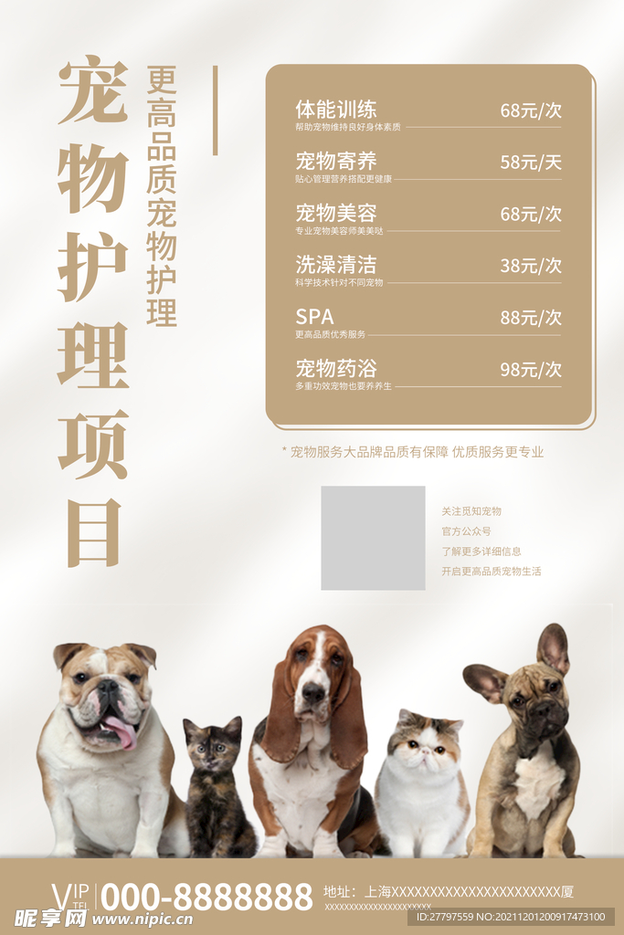 白色简约时尚宠物护理海报