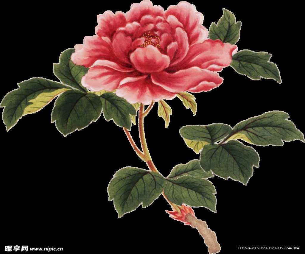 英式复古玫瑰花卉艺术装饰PNG