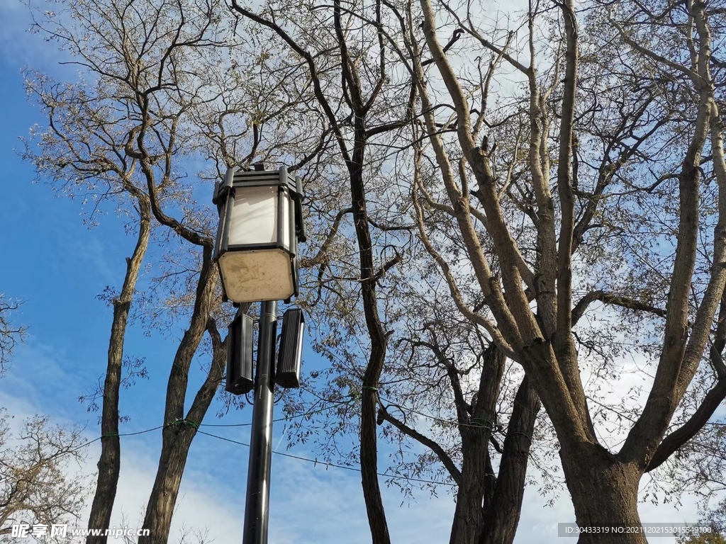 路灯